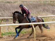 EL080425-7 - Emma Lavelle Stable Visit
